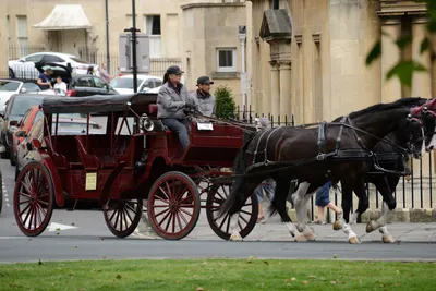 DSC_2612 (Large).JPG